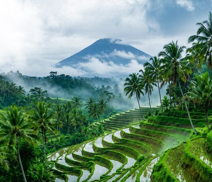 VIETNAM_UPD4_Страница_10